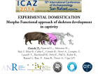 ICAZ 2014 to download